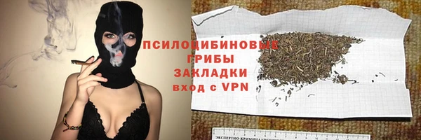 стаф Лабытнанги