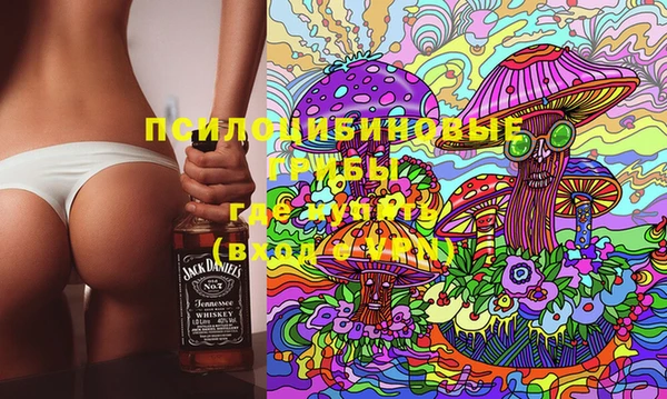 метадон Лагань