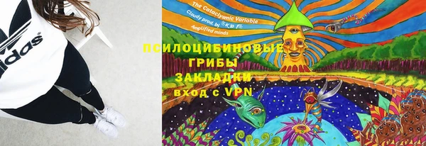 метадон Лагань